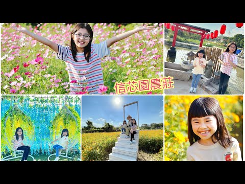 【香港景點05】信芯園農莊｜元朗新田｜波斯菊花田｜2023特色場地佈置｜重遊田園｜打卡勝地