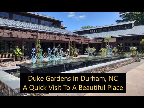 Duke Gardens In Durham, NC, A Quick Visit To A Beautiful Place