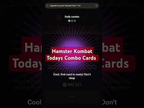 Hamster Kombat Todays Combo Cards | Hamster daily combo card #hamsterkombat #hamsterkombatdailycombo