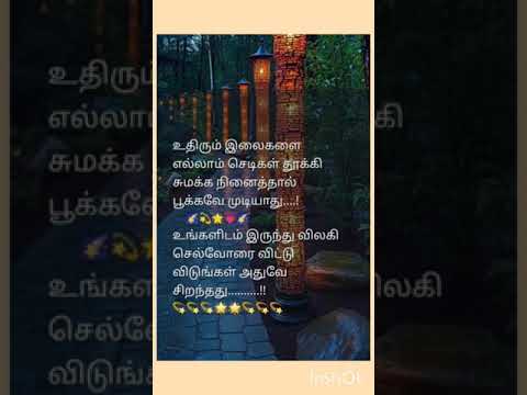 நிம்மதி #shortsvideo #tamil #tamilmotivation #youtube