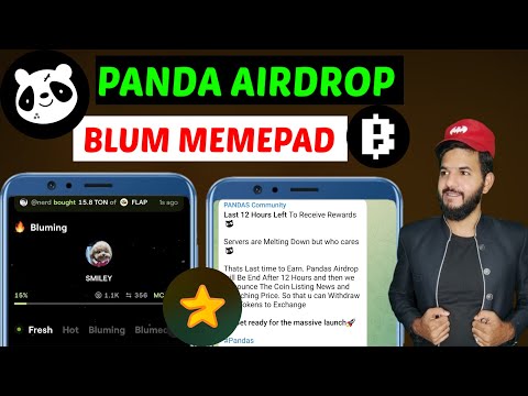 Panda Airdrop, Blum Memepad new update| Tomarket pixelswap new | Rats kingdom| Major update