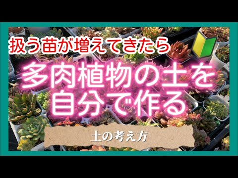 扱う苗が増えてきたら 多肉植物の土を自分で作る