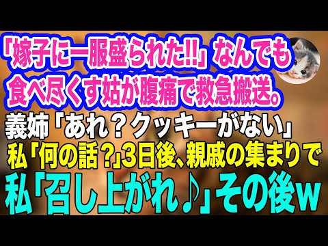 「嫁子に一服盛られた‼」なんでも食べ尽くす姑が腹痛で救急搬送。義姉「あれ？クッキーがない」私「何の話？」→3日後、親戚の集まりで私「召し上がれ♪」その後ｗ【スカッとする話】