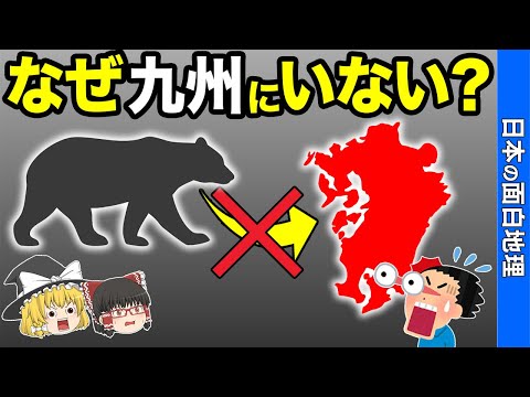 九州にクマがいない秘密に迫る！【おもしろ地理】