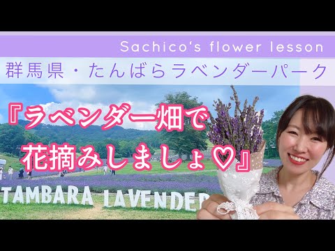 群馬県たんばらラベンダーパーク『ラベンダー畑で花摘みしましょ♡』