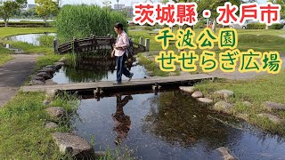 【日本二府九縣春遊 EP.204】茨城縣．水戶市 千波公園．せせらぎ広場、千波湖 | 環境優美