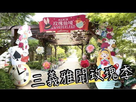 苗栗雅聞玫瑰季，千朵經典玫瑰同時綻放 | 免門票 | 三義雅聞香草植物工廠 | 雅雯觀光工廠 | 搭配苗栗景點一日遊，超值推薦！