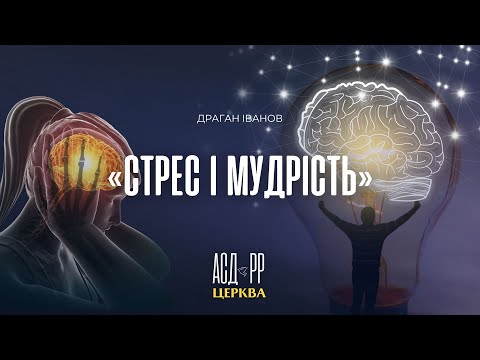 "Стрес і мудрість" | Драган Іванов 05.01.25