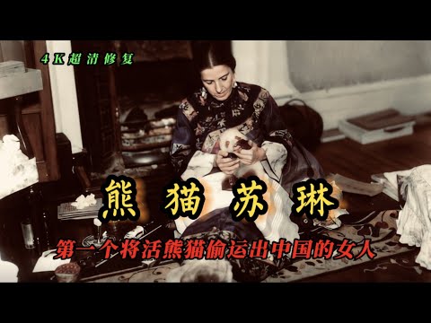 1936年熊猫苏琳影像，第一个将活熊猫偷运出中国的西方女人