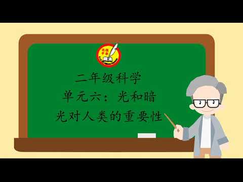 二年级科学光和暗-光的重要性