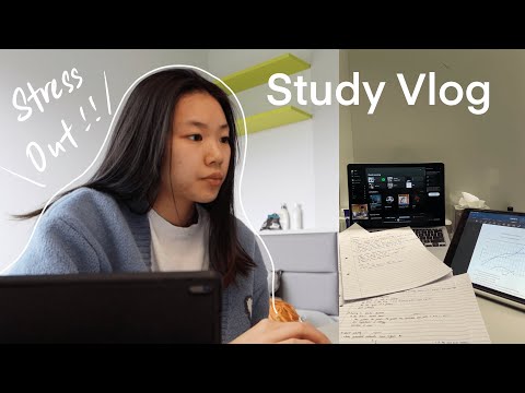 𝗜𝗘 𝟭𝟯｜Study Vlog📚、泡菜湯🥘、走走逛逛🛒❤️｜愛爾蘭留學