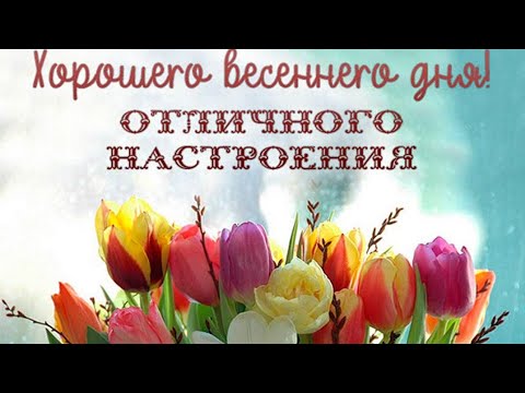 Прекрасного дня и хорошего настроения ❤️ Красивая песня и яркая музыкальная открытка! Пожелания!