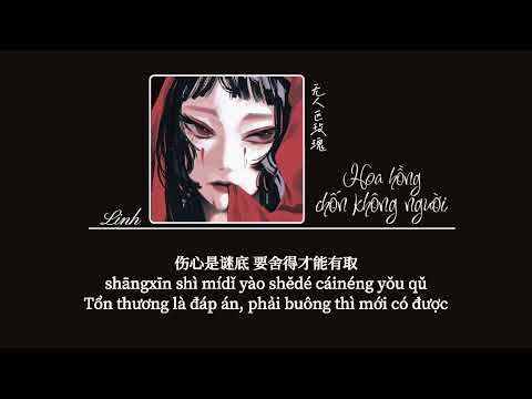 [Vietsub] Hoa hồng chốn không người • Nhất Khỏa Lang Tinh ♪无人区玫瑰 • 一颗狼星