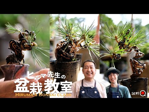 How to make a mini bonsai. Mr. Hiruma's Bonsai Class [Bonsai Q]