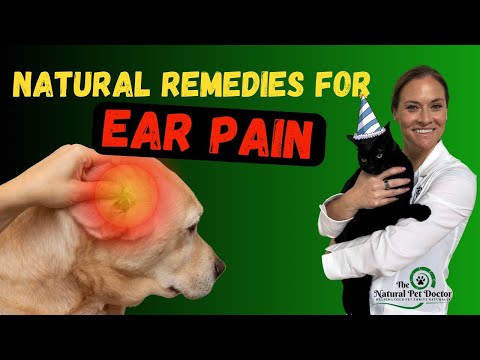 Natural Remedies For Treating Ear Pain In Dogs And Cats