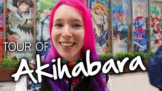 AKIHABARA TOUR: Anime Shops & Arcades