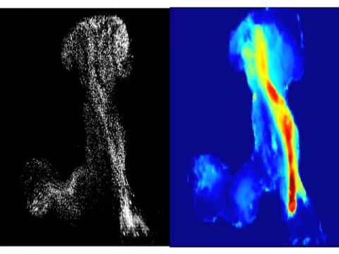 Fungal spores: zero drag