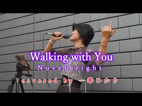 Walking with You / Novelbright  covered by 《一華ひかり》※概要欄にツアー情報あり