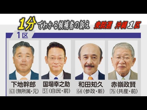 1分でわかる！候補者の訴え　沖縄1区　衆院選2024