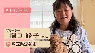 テディベアみたいなトイプードルがお出迎え♡関口路子ブリーダーの犬舎を訪問