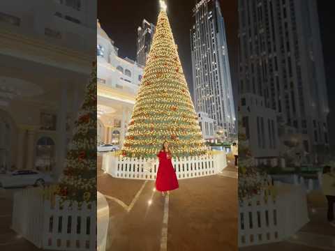 Merry Christmas everybody #christmas2024 #Christmas #travelwithmamta #mamtasachdeva #dubai