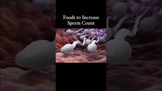 Foods to Increase Sperm Count #sperm #fertility #ivf #infertility #k #meme #spermcount #fit