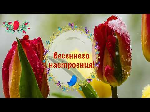 Весеннего настроения! Весенний приветик! С началом весны поздравляю! Пожелания Весна Тепло Улыбка