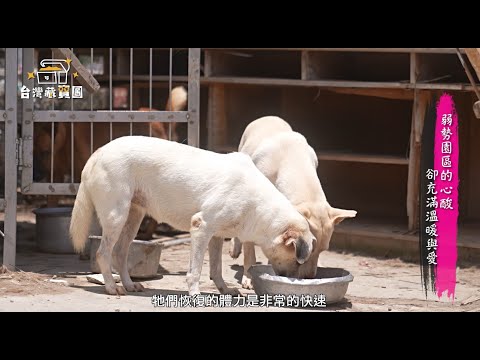 台灣藏寶圖-社團法人台灣流浪貓狗關懷協會- 台北辦事處