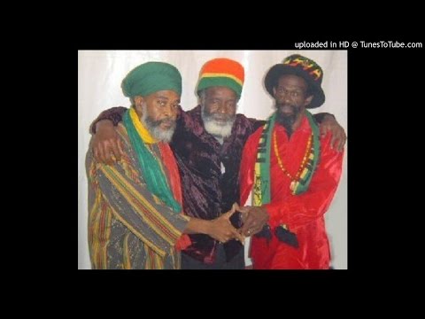 abyssinians - mark of the dub