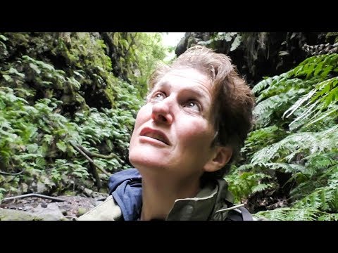 Mother Earth is my Therapist - and helped to heal my broken heart - La Palma VLOG #2