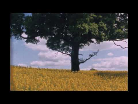 Bibio - Ribbons (Album Trailer Part 1)