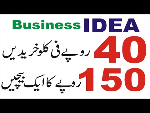 How to start Small Business Ideas in Pakistan with low investment in urdu | Smart Business Plan