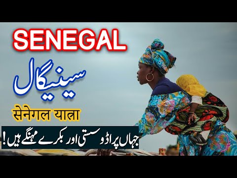 Travel To Senegal | History Documentary in Urdu And Hindi | Spider Tv | سینیگال کی سیر