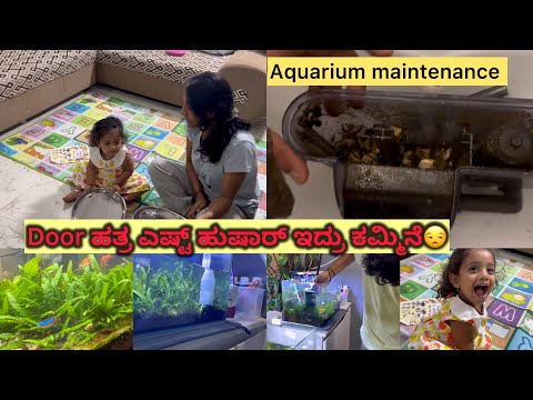 ತುಂಬಾ ಬೇಜಾರ್ ಆಯ್ತು | Aquarium￼ ಬಗ್ಗೆ ಕೇಳಿದ್ರಲ್ಲಾ how we maintain | 30+ fry small baby fishಗಳು🐠 ನೋಡಿ