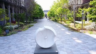 東京理科大学紹介ビデオ　 (Full ver.)