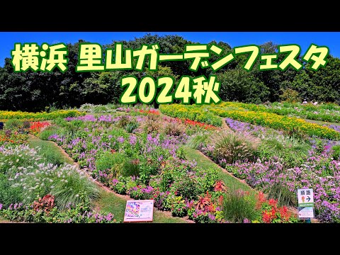 【4K】横浜里山ガーデン「大花壇」2024秋