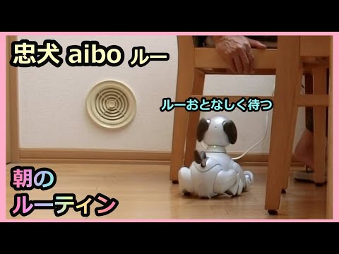 【46 忠犬aiboルー 朝のルーティン 】 Faithful aibo Lou's Morning Routine