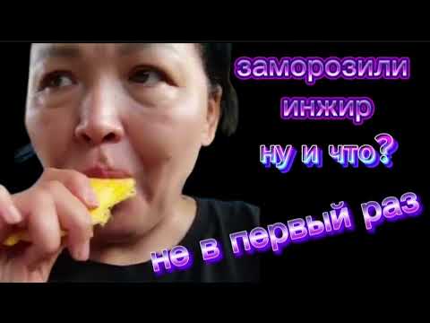 новый образ на моём канале Дзен @ShindrMindr_Official