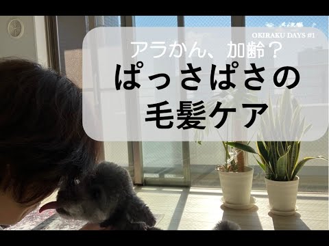 おきらくDAYS第1回 アラかんおひとりさま日記　朝活と加齢による髪の毛ぱさぱさ対策