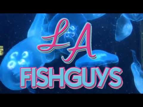 The Cyclinder Reef Tank, LA Fishguys, Episode 157, part 4