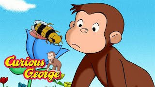 Where Does Honey Come From? 🐵 Curious George 🐵 Kids Cartoon 🐵 Kids Movies