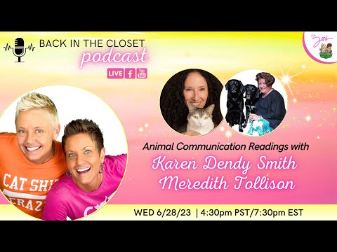 Chat With YOUR Cat! | Free Mini Readings | Back In The Closet with Two Crazy Cat Ladies