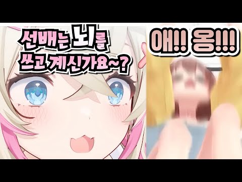 후와모코 vs 코로네 애옹애옹 개싸움