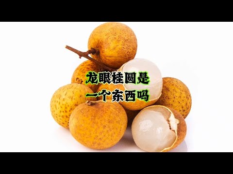 龙眼和桂圆：你会分辨它们的区别吗Longan and Longan: Can you tell the difference between them