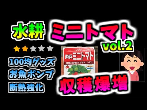 お魚ポンプで水耕ミニトマト！難易度：星2つ。前回の「100均グッズ水耕ミニトマト（星１つ）」に、ちょっと、ひと工夫したら収穫量がめっちゃ増えました。＃水耕栽培　＃ミニトマト