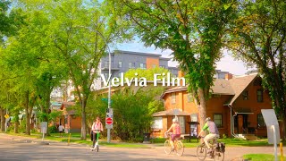 Fujifilm Recipe | Velvia Film | X-T5 X-T50 X100VI X-M5 Digital Film Look