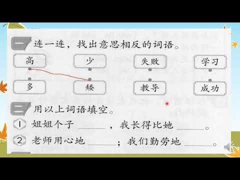 二年级华语识字四