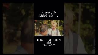 HIKAKIN & SEIKIN 新曲「コール」に隠された秘密part1 #コール