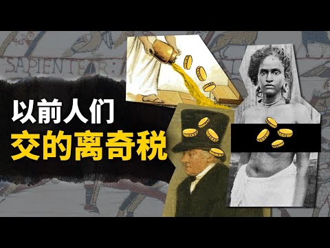 開窗戶、留鬍子也要課稅？古代的人們過日子是不是有點難啊【叮叮貓不咬人】