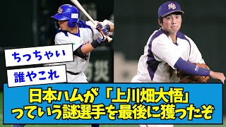 【2021年】日本ハムが「上川畑大悟」っていう謎選手を最後に獲ったぞ【なんJ反応】